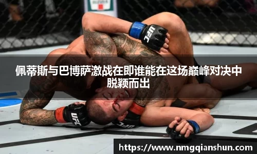 佩蒂斯与巴博萨激战在即谁能在这场巅峰对决中脱颖而出